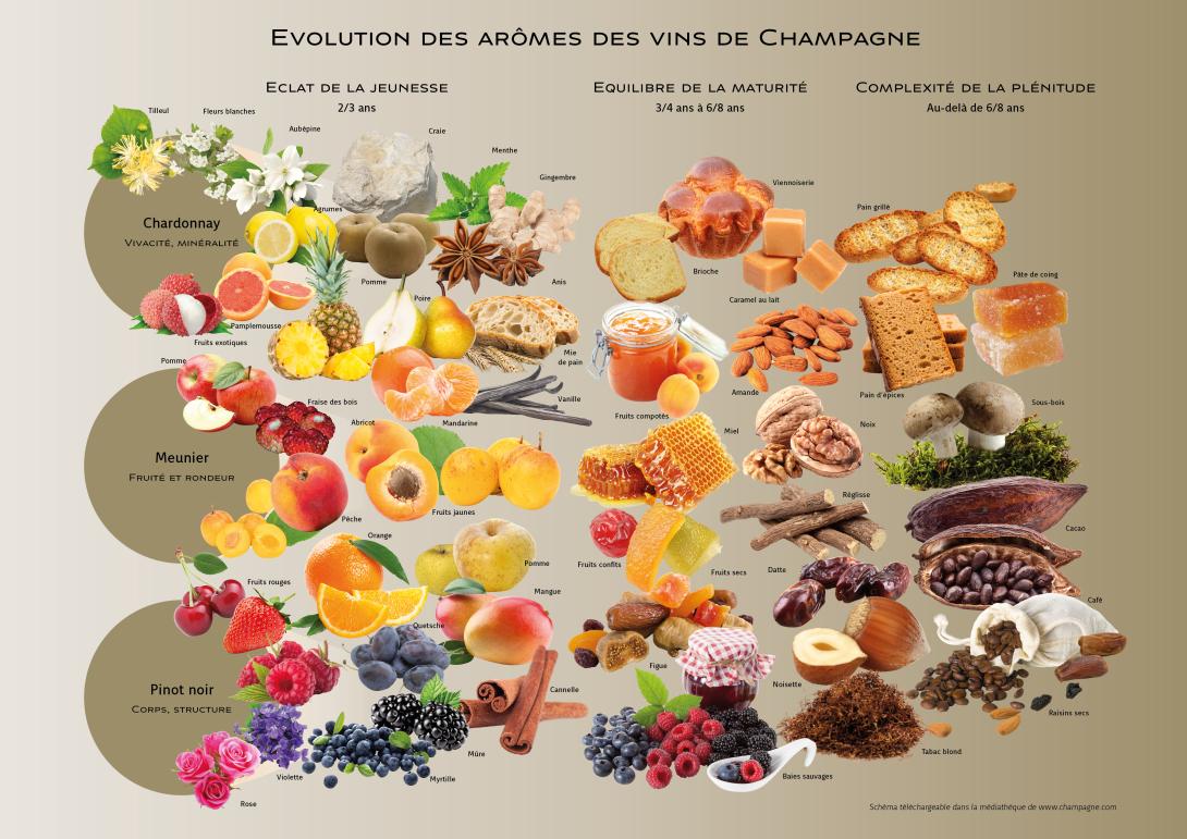 Carte des Aromes Champagne FR