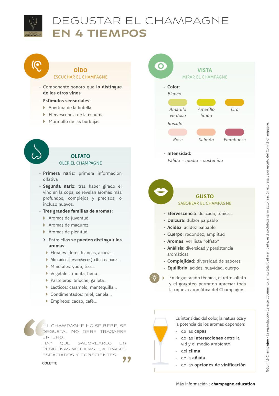 DEGUSTAR-EL-CHAMPAGNE-EN-4-TIEMPOS.jpg