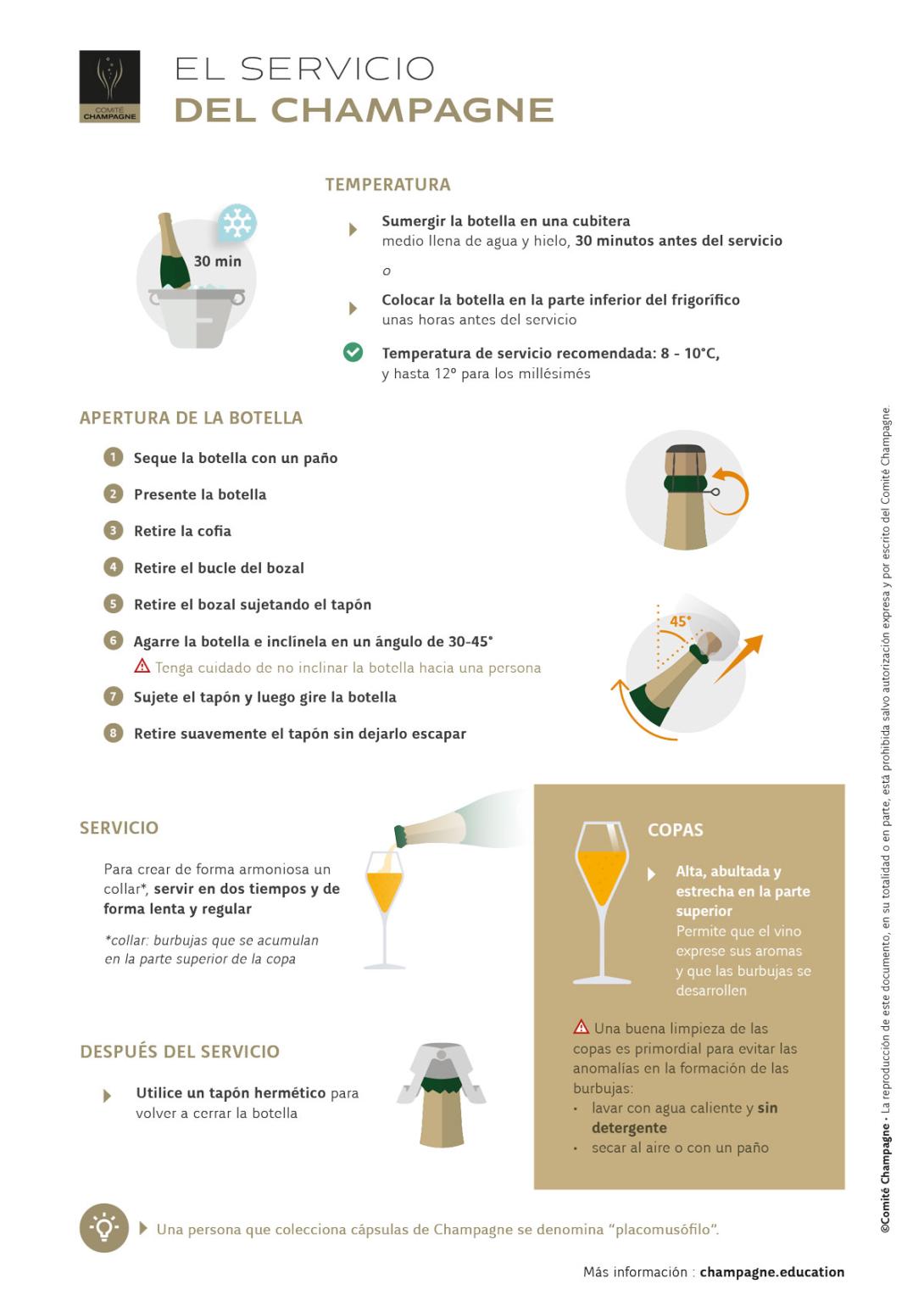 EL-SERVICIO-DEL-CHAMPAGNE.jpg