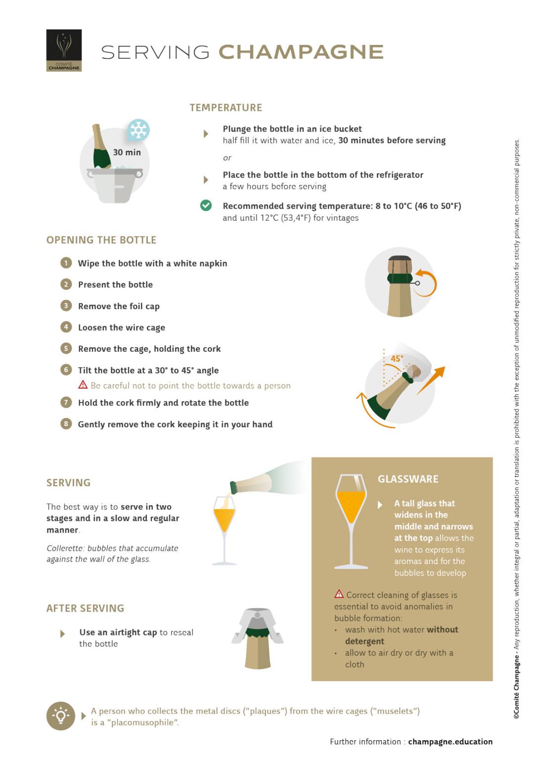 Factsheet Serving Champagne