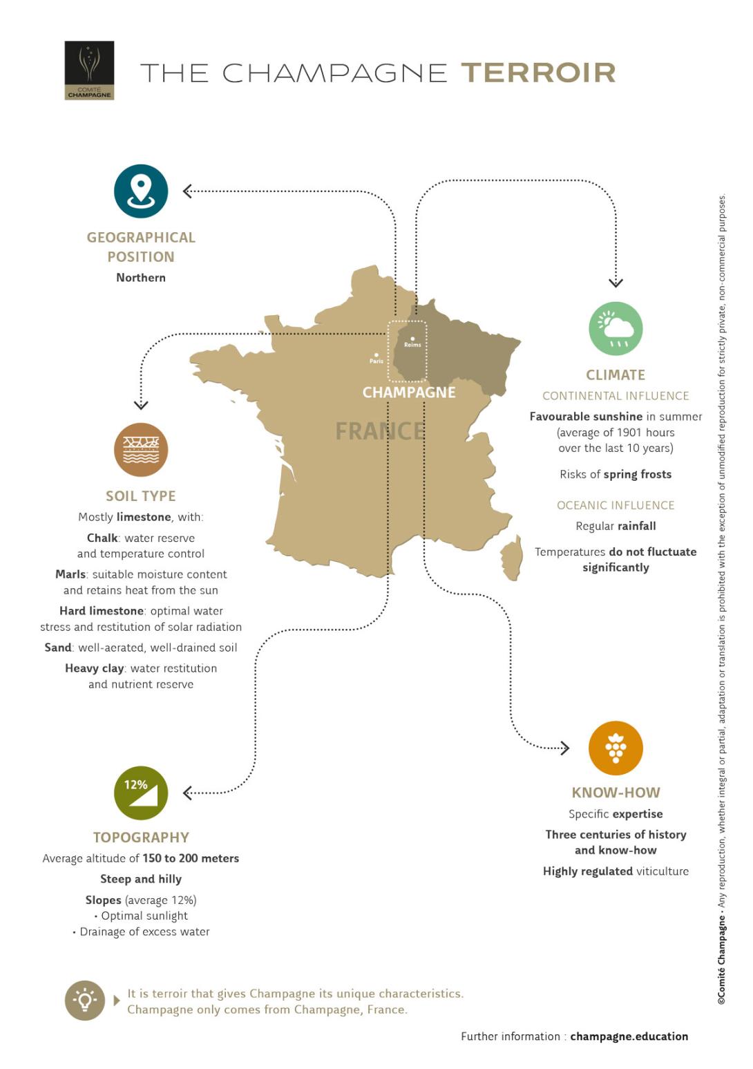 Champagne Terroir