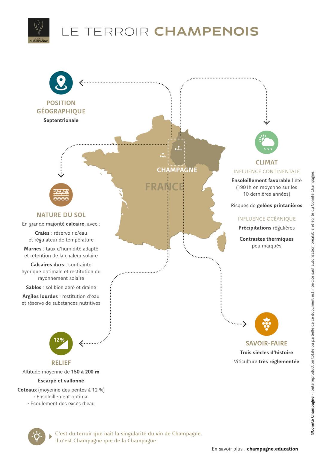 Fiche Terroir Champagne