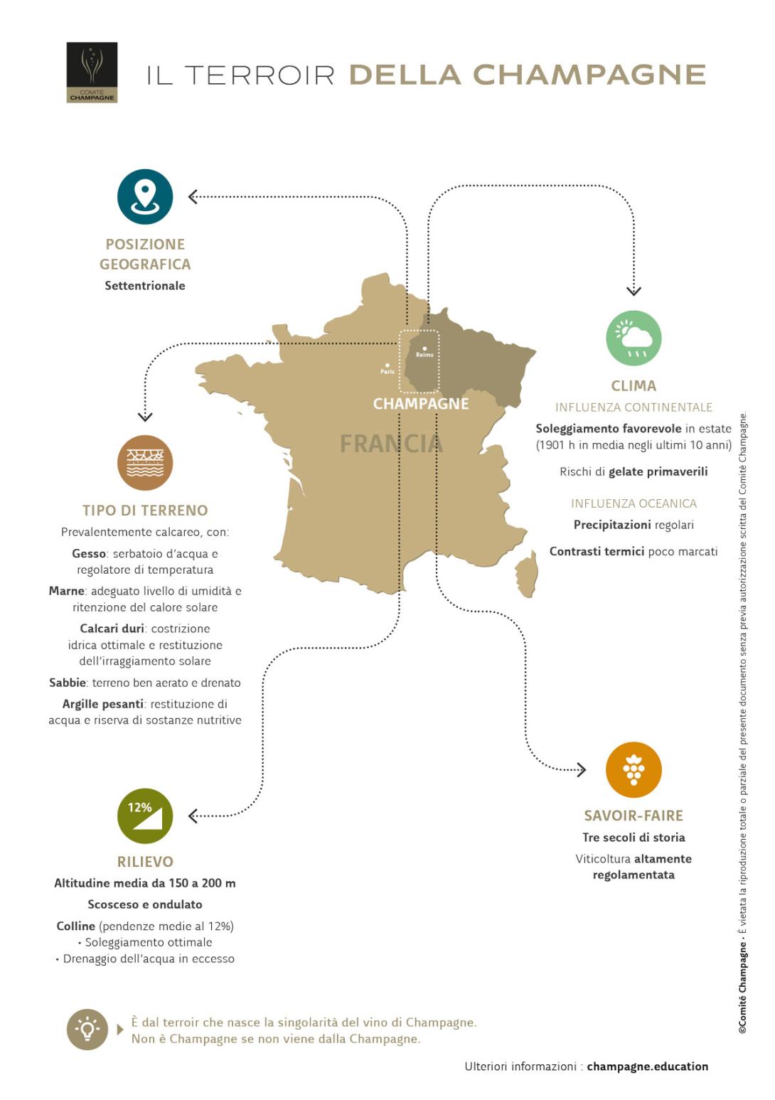 IL-TERROIR-DELLA-CHAMPAGNE.jpg